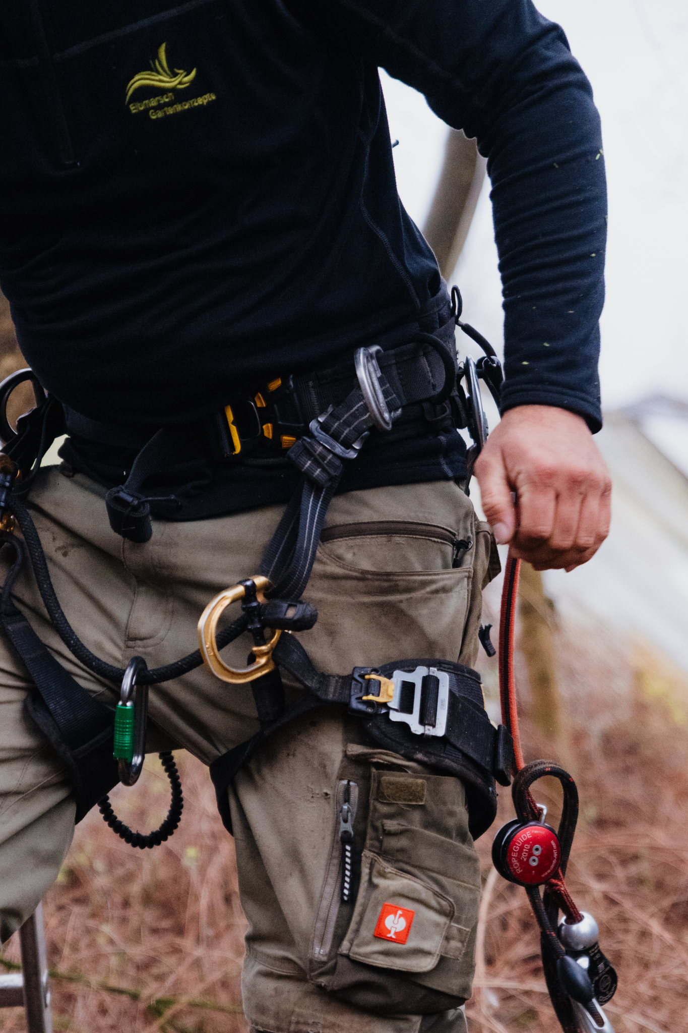 Garten- und Landschaftsbau Baumschnitt